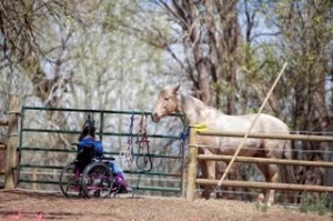 Hearts & Horses