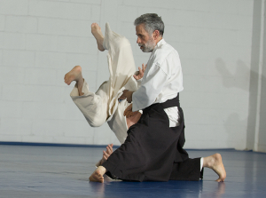 Linden Aikido